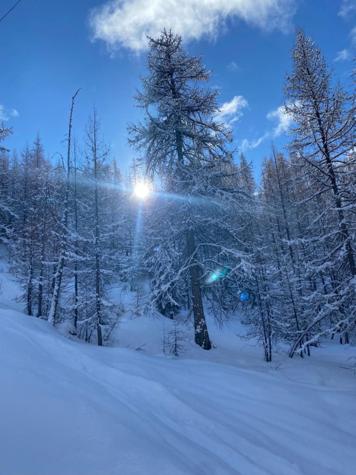 Le Chalet Des Sommets Arvieux Zewnętrze zdjęcie